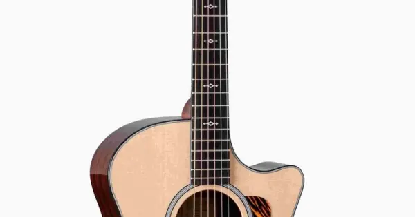 Vendita Finale Taylor 314ce 2026 Next Generation